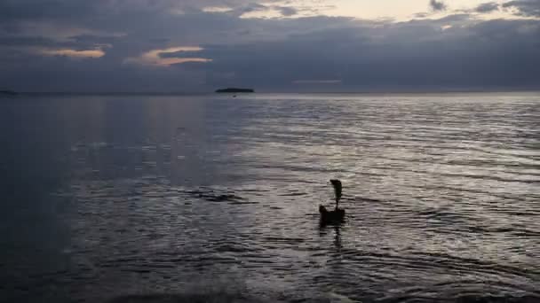 Veleiro de brinquedo nas ondas do mar — Vídeo de Stock