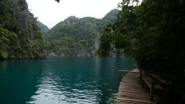 Гірське озеро на тропічному острові — стокове відео