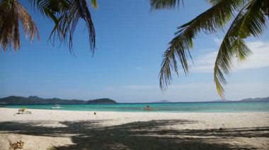 Güzel sahil ve tropikal deniz