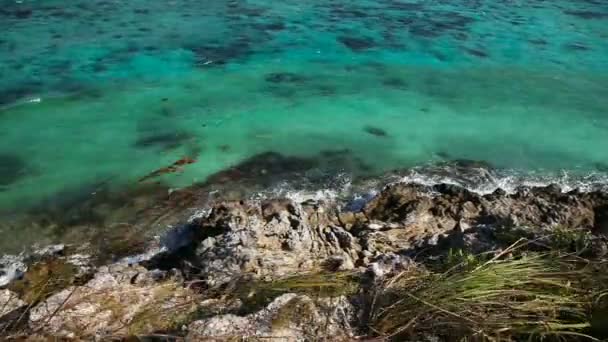 Bela praia e mar tropical — Vídeo de Stock