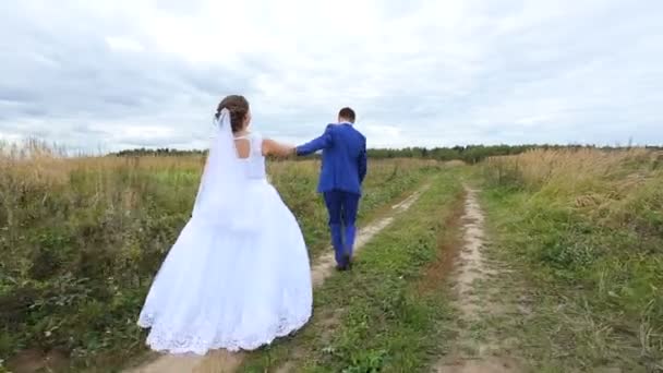 Gelukkig mooie bruid en bruidegom lopen op veld — Stockvideo