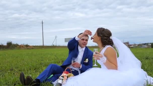 Bride and groom on a green meadow in summer day — Stock Video