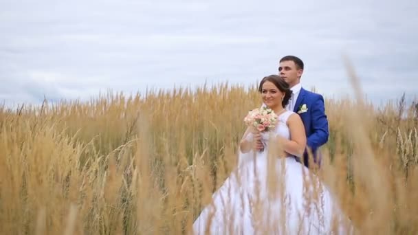 Glada vackra bruden och brudgummen på fältet — Stockvideo