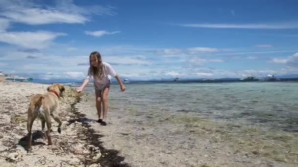 Девушка играет с собакой на пляже — стоковое видео