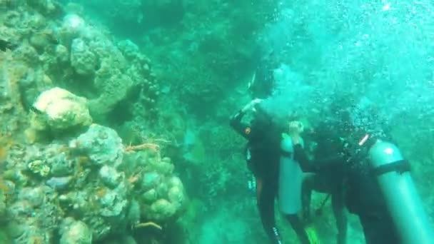 Potápěč pod vodou — Stock video