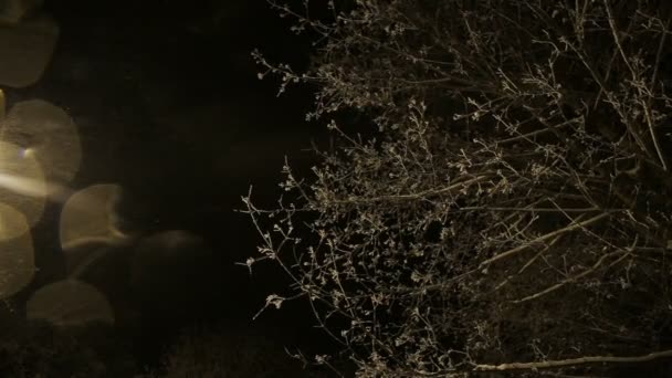 冬の夜にランタンを通りポスト — ストック動画