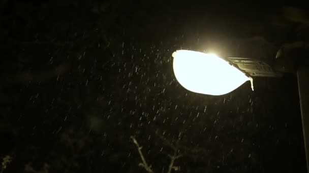 Street post with lantern in winter evening — Stock Video