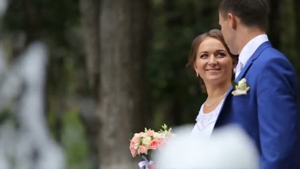 Novia feliz y novio caminando cerca de la fuente en el parque — Vídeos de Stock