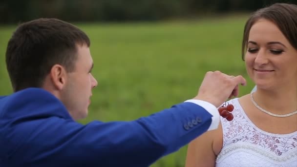 Bruid en bruidegom op een groene weide in zomerdag — Stockvideo