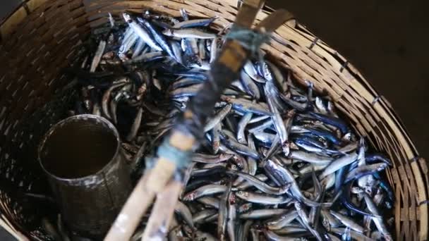 Frischer Fisch auf dem Markt — Stockvideo