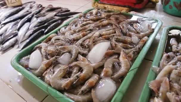 Frutos do mar no mercado do peixe — Vídeo de Stock