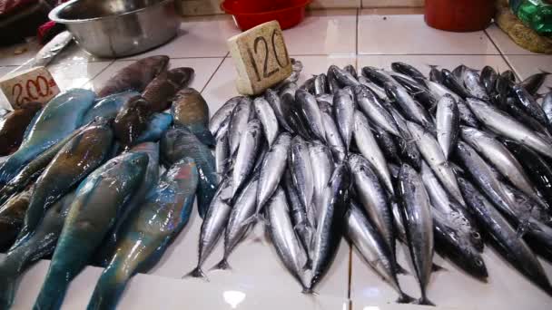 Čerstvé ryby na trhu — Stock video