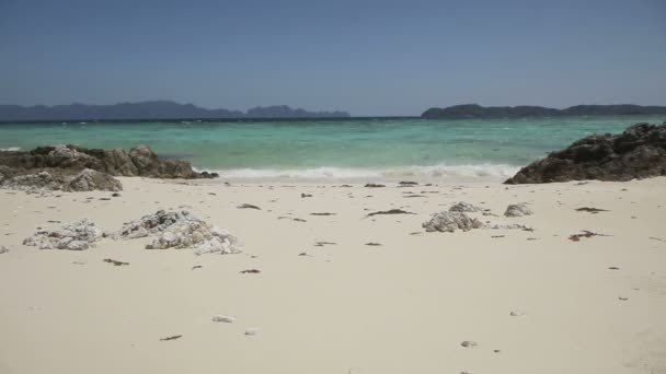 belle plage et mer tropicale
