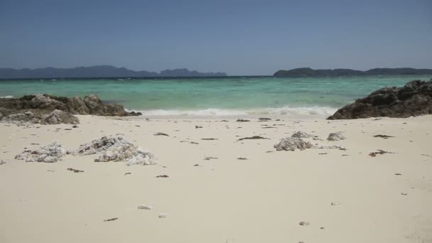 Schöner Strand und tropisches Meer — Stockvideo