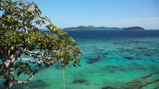 Mar tropical bajo el cielo azul — Vídeo de stock