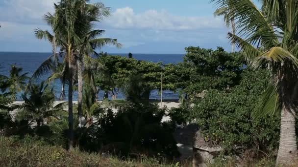 Mar tropical bajo el cielo azul — Vídeo de stock