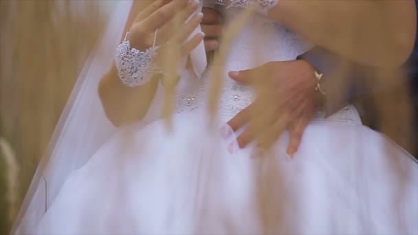 Felice bella sposa e sposo sul campo — Video Stock