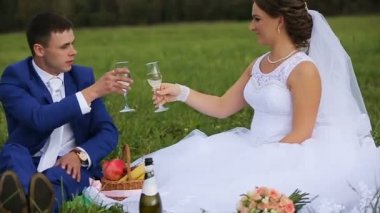 Gelin ve damat yaz günü yeşil bir çayırda üzerinde