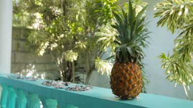 taze ananas açık havada