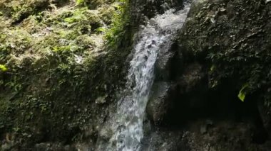 Güzel tropik şelale.