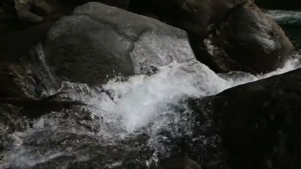 Córrego de rio na floresta tropical . — Vídeo de Stock