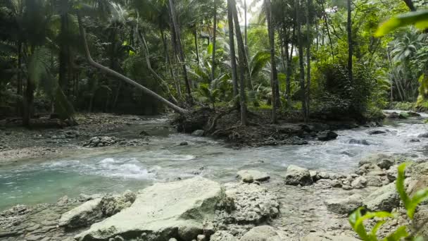 Fluss im Regenwald in Cebu-Philippinen — Stockvideo