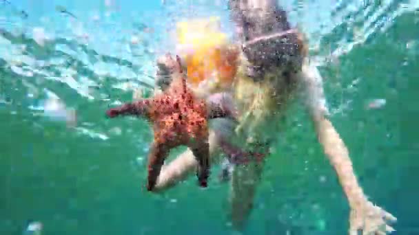 Young girl scuba diver — Stock Video