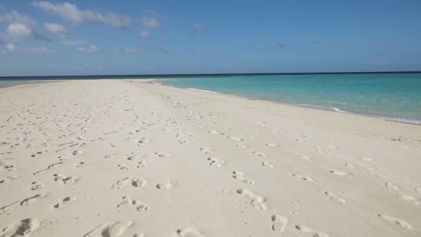 Schöner Strand und tropisches Meer — Stockvideo