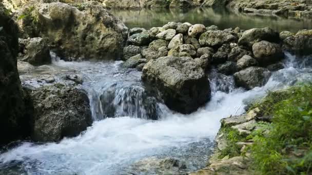 Córrego de rio na floresta tropical . — Vídeo de Stock