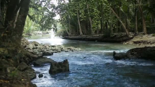 Rivier in het regenwoud in Cebu Filippijnen — Stockvideo