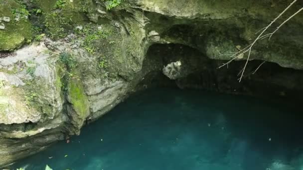 Fluss in einer Gebirgsschlucht — Stockvideo