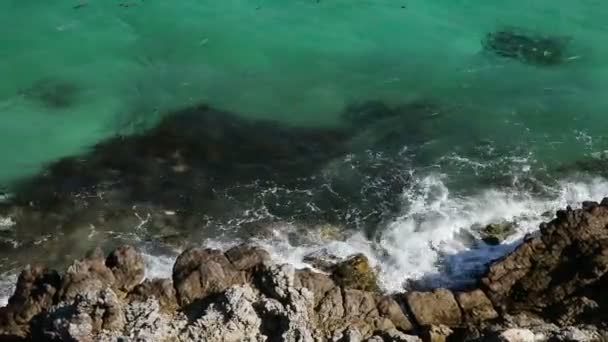 Vacker strand och tropiskt hav — Stockvideo