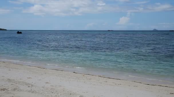 Hermosa playa y mar tropical — Vídeo de stock