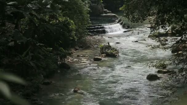 Река в тропических лесах в cebu Филиппин — стоковое видео
