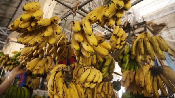 Bananas no mercado de frutas — Vídeo de Stock