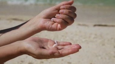 Sahilde deniz kabuklarını tutan el