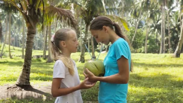 Chicas jóvenes bebiendo jugo de coco — Vídeo de stock