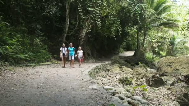 Família caminha na passarela na floresta tropical — Vídeo de Stock