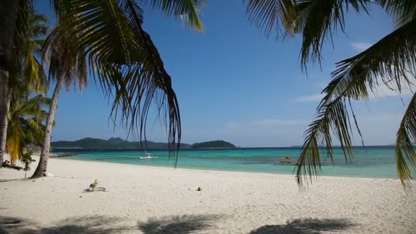 Bella spiaggia e mare tropicale — Video Stock