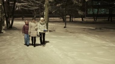 Aile bir kış Parkta yürümek