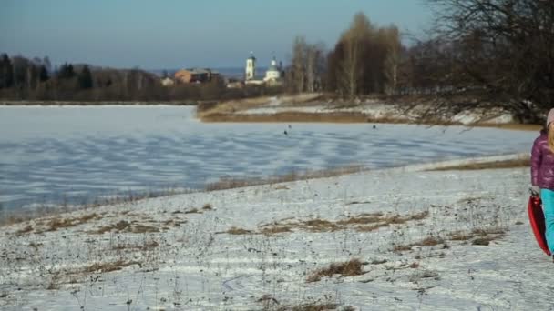 Девушка с санями прогулки в зимнем парке — стоковое видео