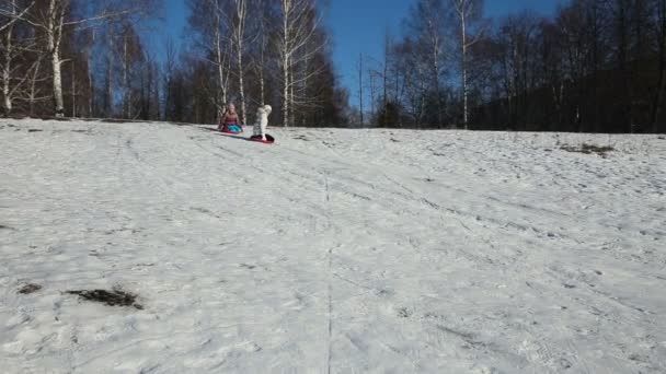 Tepeden aşağı sledging Yong kızlar — Stok video