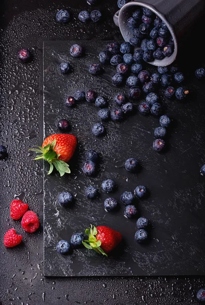 Blueberries, dark rustic style — Stock Photo, Image