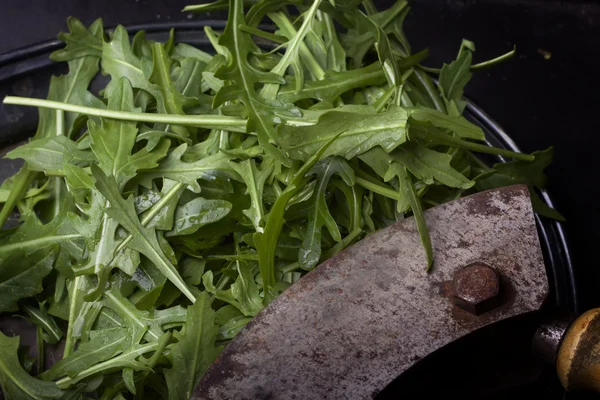 Folhas de salada de Ruccola em pratos vintage — Fotografia de Stock