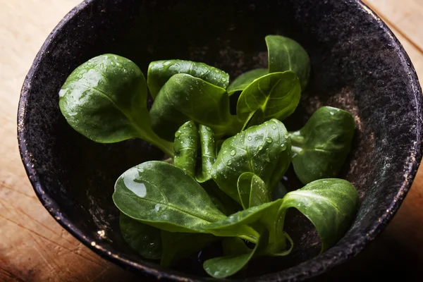 A bunch of fresh corn salad on a vintage copper bowl, on a rusti — Stock Photo, Image