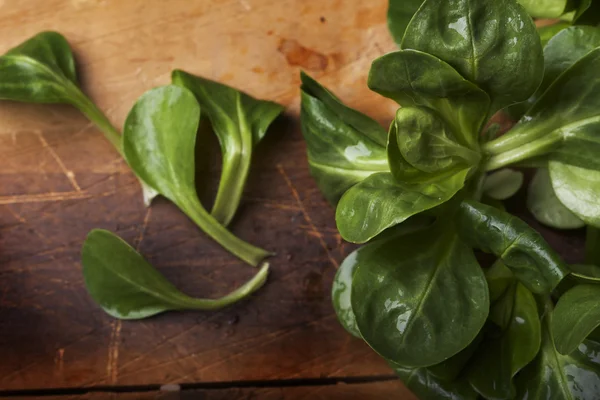 En massa färsk majs sallad på en rustik planka — Stockfoto