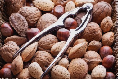 Çeşitli fındık seçimi