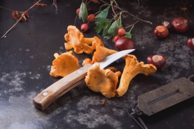 Sonbahar natürmort Cantharellus cibarius mantar