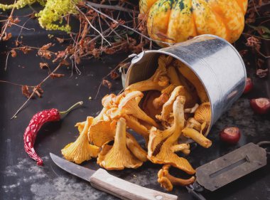 Sonbahar natürmort Cantharellus cibarius mantar