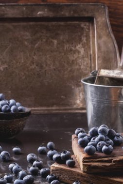 Yaban mersini siyah metal zemin üzerine